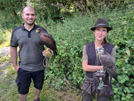 Volkan Kabadyi mit Einem Wüstenbussart und Anne Neumann mit einem Falken