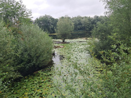 Der kleine See